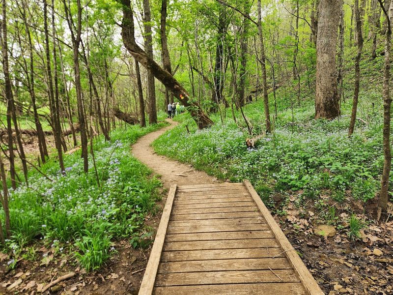Rocky Woods Trail Adventure