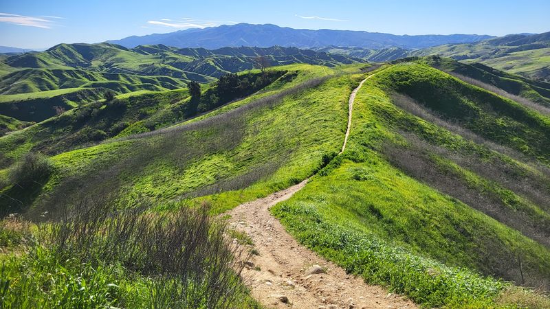 Rolling Green Hills That Look Like a Painting Rolling Green Hills That Look Like a Painting