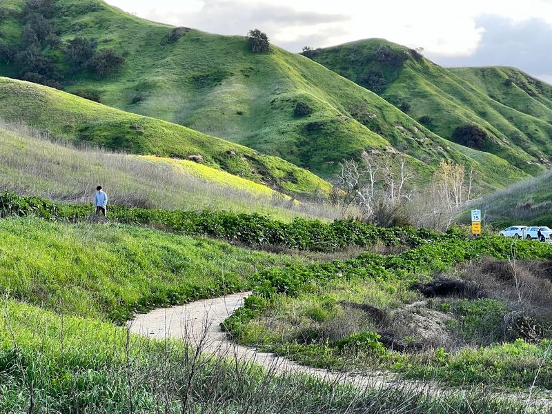 Rolling Green Hills That Look Like a Painting