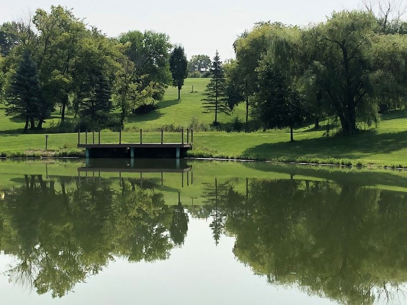 Rolling Hills That Look Like a Postcard