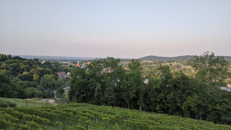 Rolling Wine Country That Rivals the Best