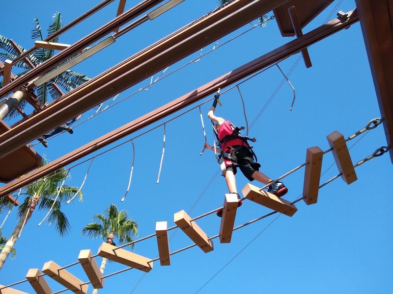 Ropes Course and Climbing