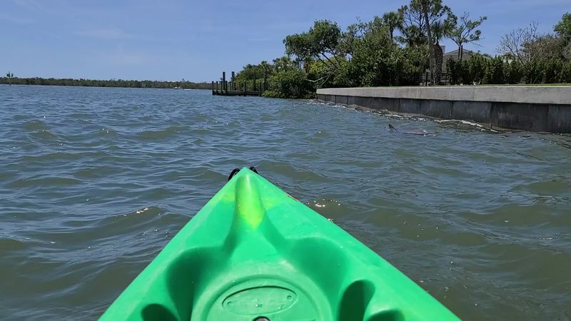 SUP Englewood: Your Gateway to the Island Adventure SUP Englewood: Your Gateway to the Island Adventure