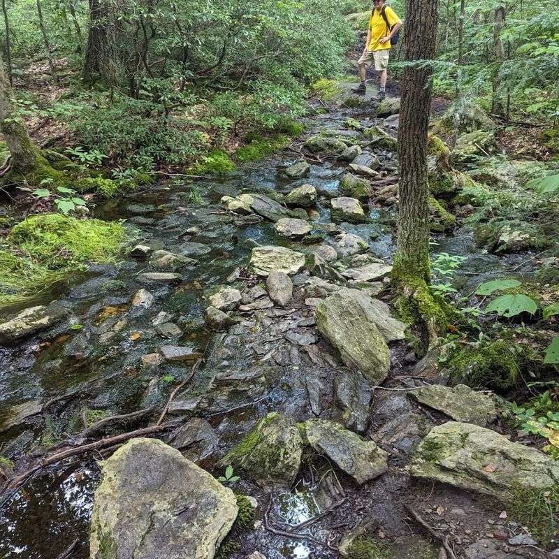 Sage's Ravine: A Hidden Gem Off the Beaten Path