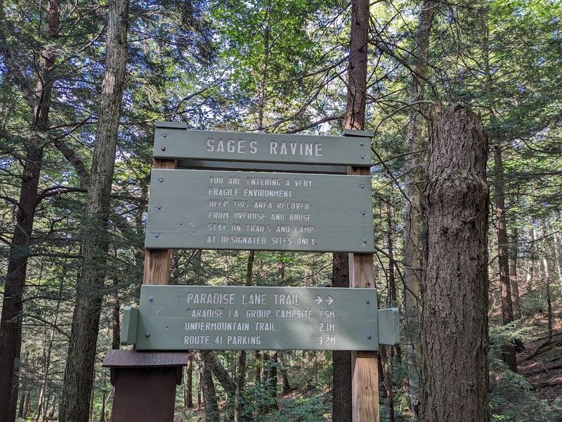 Sage's Ravine Loop: A Hidden Gem Worth the Extra Miles Sage's Ravine Loop: A Hidden Gem Worth the Extra Miles