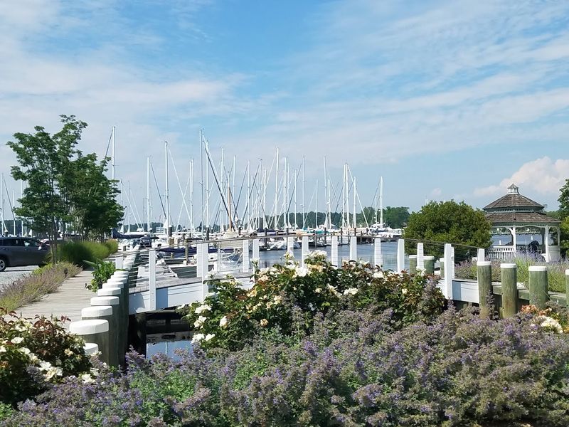 Sailing and Boating Culture