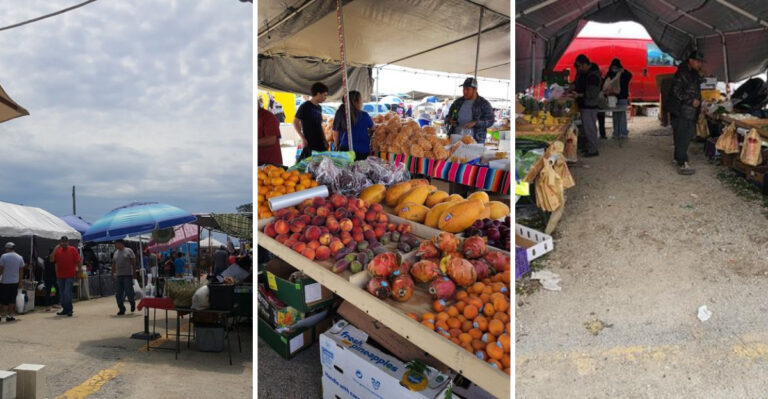 Savvy Shoppers Can’t Stop Talking About This Illinois Swap Meet That Gives Costco A Run For Its Money