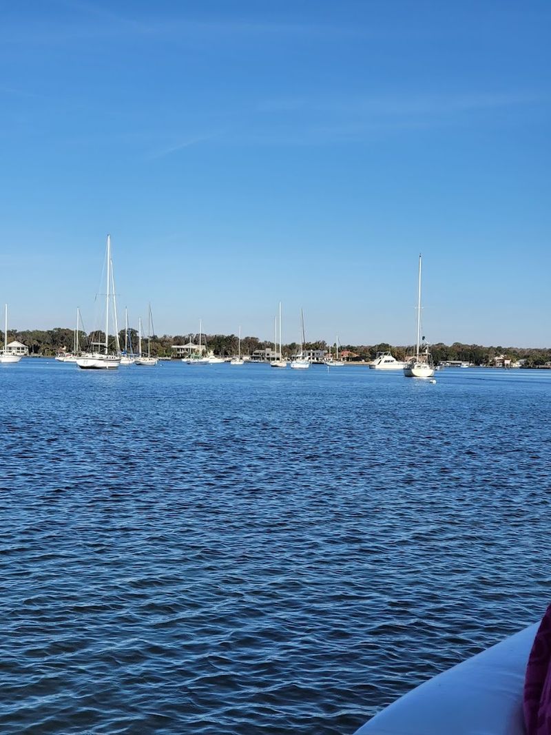 Scalloping Season on the Gulf Coast Scalloping Season on the Gulf Coast