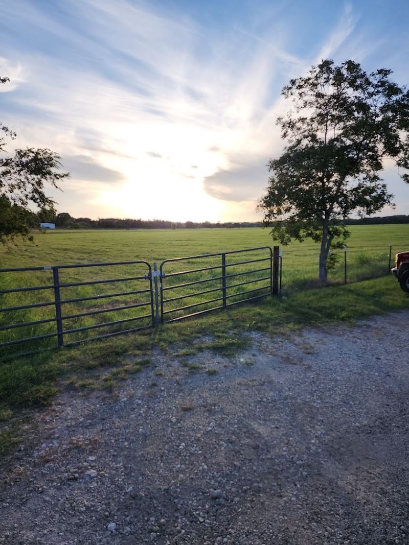 Scenic Country Drive That Sets the Mood