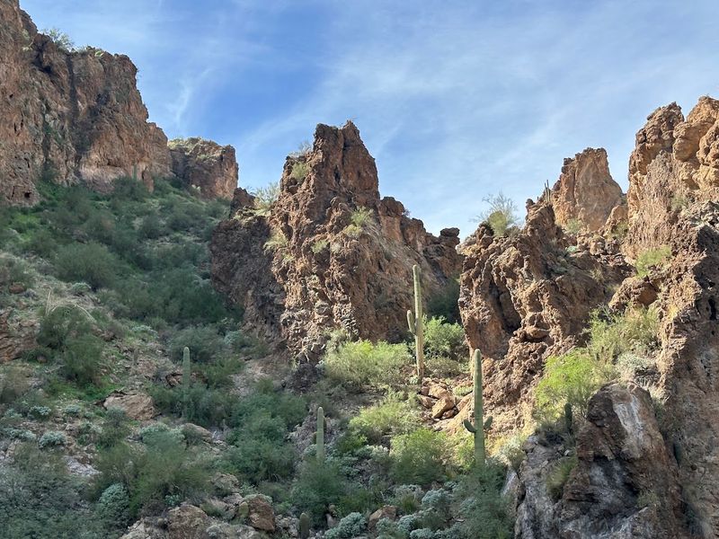 Scenic Drive Along AZ-88 to Get There Scenic Drive Along AZ-88 to Get There