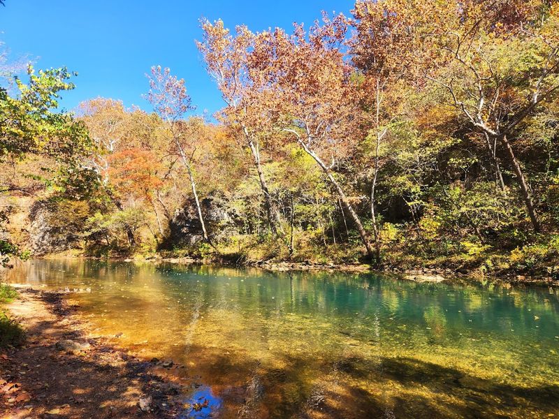 Scenic Ozark Hiking Trails Worth Every Step