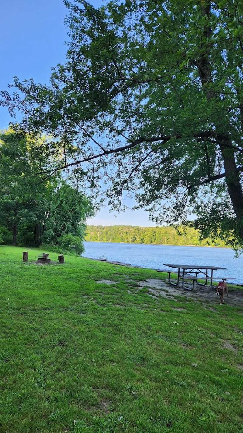 Scenic Picnic Spots by the River Scenic Picnic Spots by the River