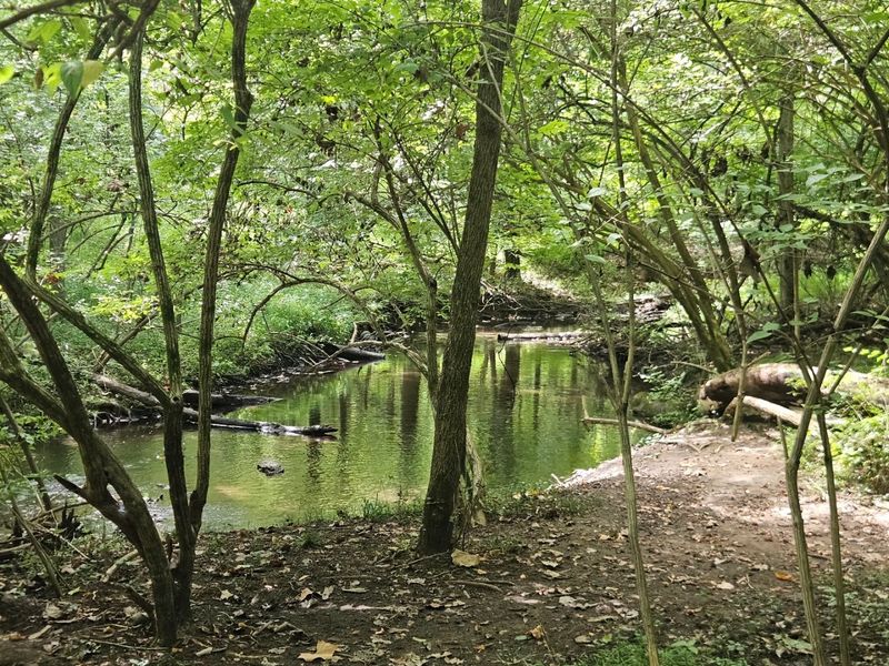 Scenic Walking and Jogging Trails Scenic Walking and Jogging Trails