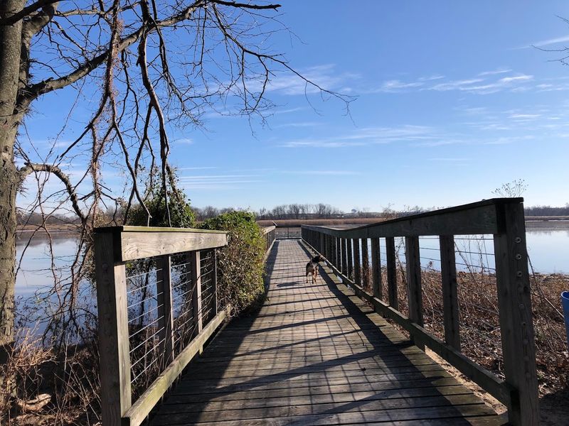 Scenic Wooden Boardwalks