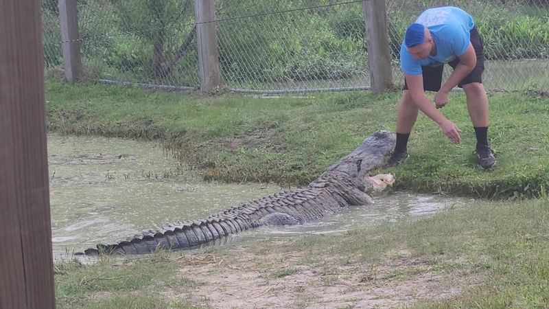 School Field Trips and Group Visits