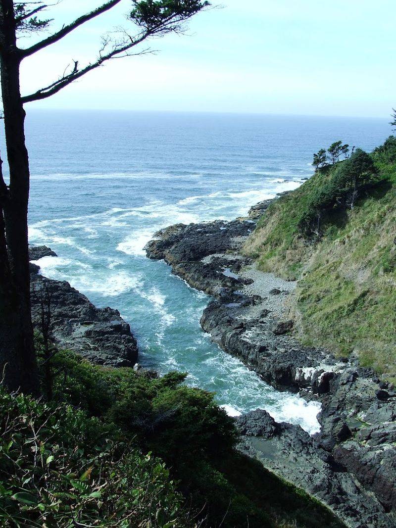 Sea Lion Caves: A Neighbor Worth Bragging About