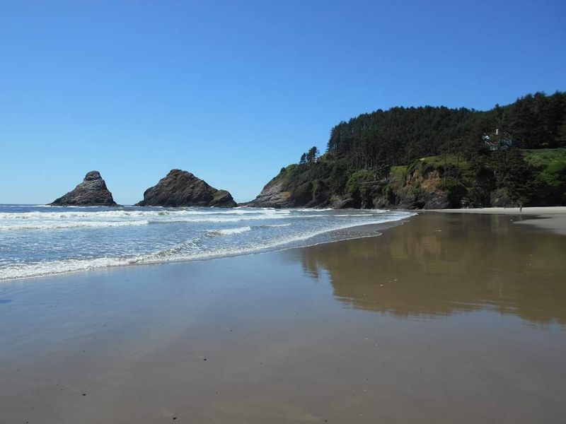 Sea Lion Caves: A Unique Local Wonder