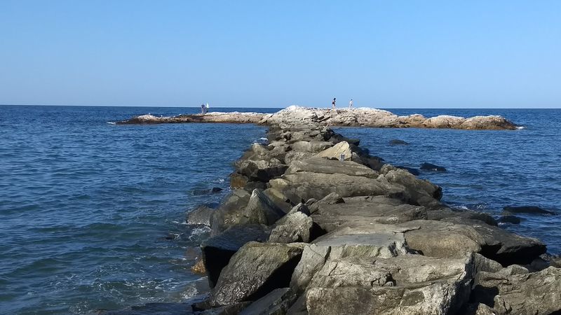 Seal Sightings That Make Your Day Seal Sightings That Make Your Day