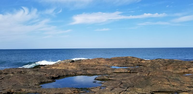 Seal Sightings That Will Blow Your Mind Seal Sightings That Will Blow Your Mind