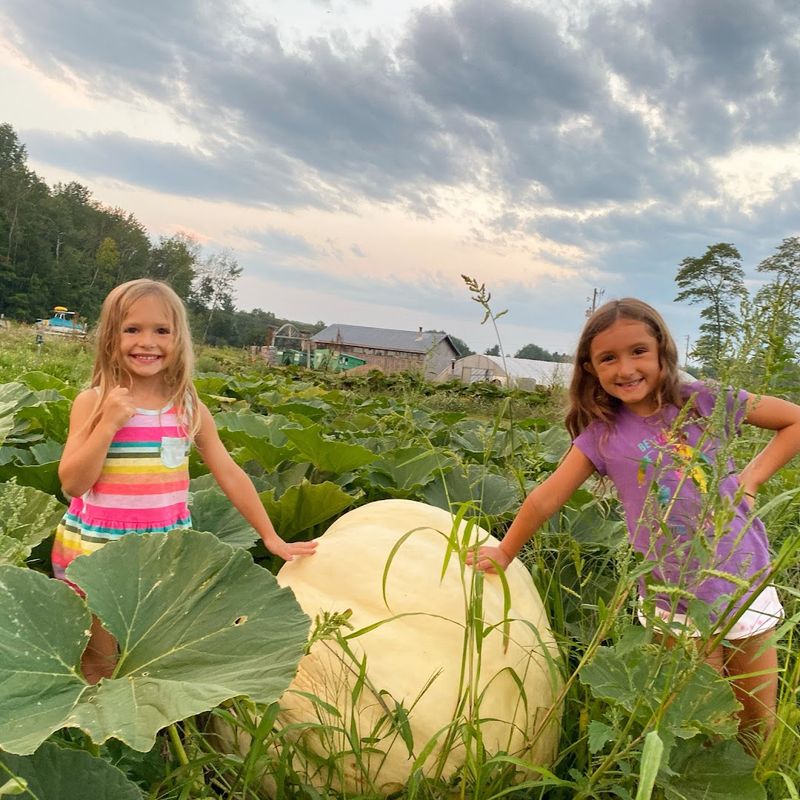 Seasonal Activities for the Whole Family