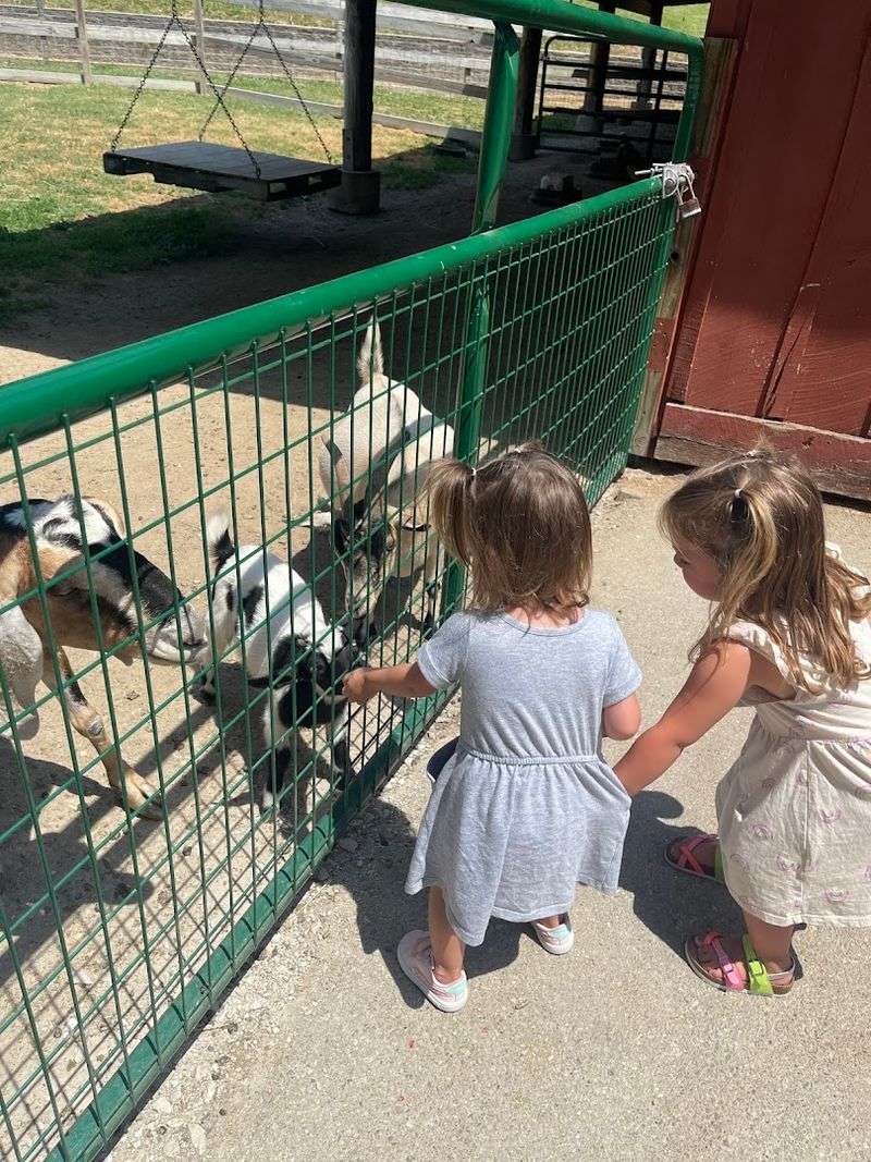 Seasonal Baby Animals That Draw Crowds Every Spring Seasonal Baby Animals That Draw Crowds Every Spring