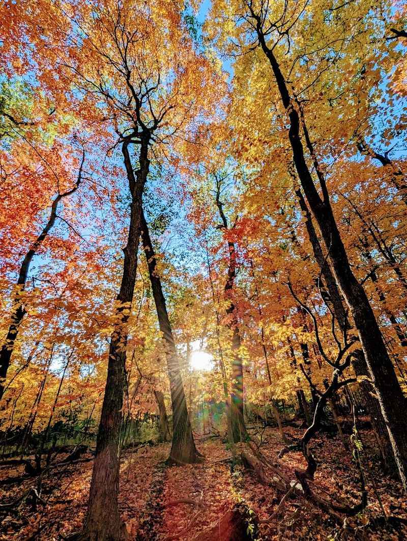 Seasonal Beauty That Changes With Every Visit