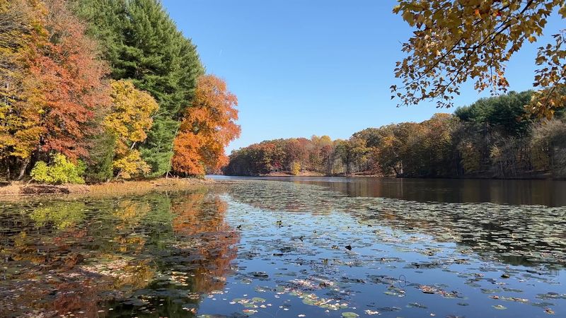 Seasonal Beauty That Transforms With Every Visit