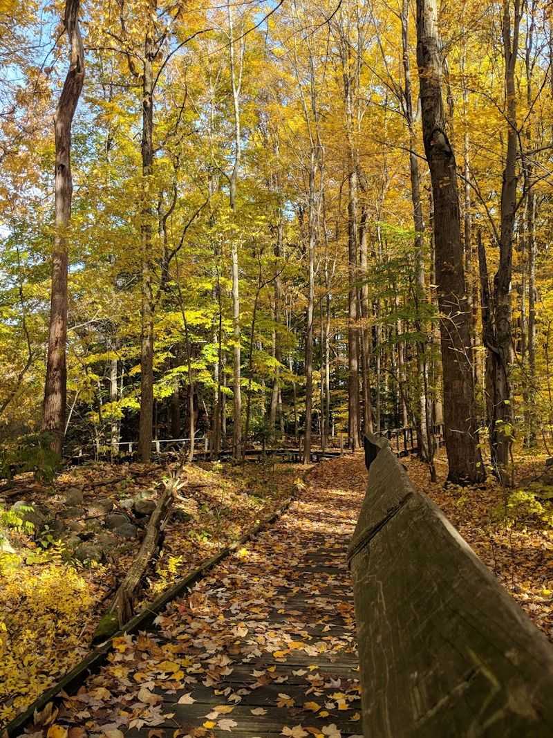 Seasonal Changes Make Every Visit Feel Brand New Seasonal Changes Make Every Visit Feel Brand New