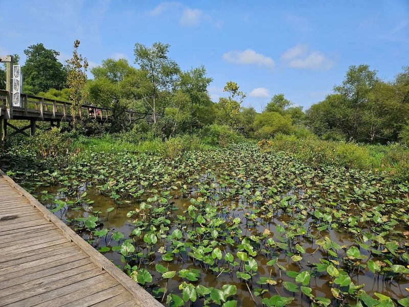 Seasonal Changes That Keep Every Visit Feeling Fresh