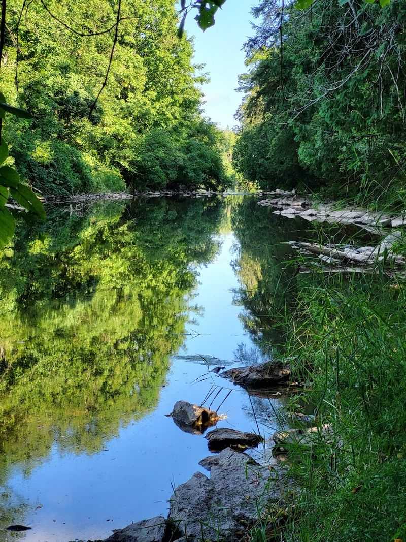 Seasonal Changes That Transform the Park