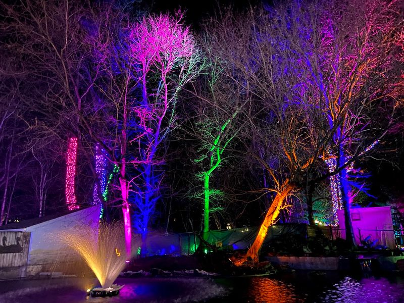 Seasonal Events That Keep Every Visit Fresh