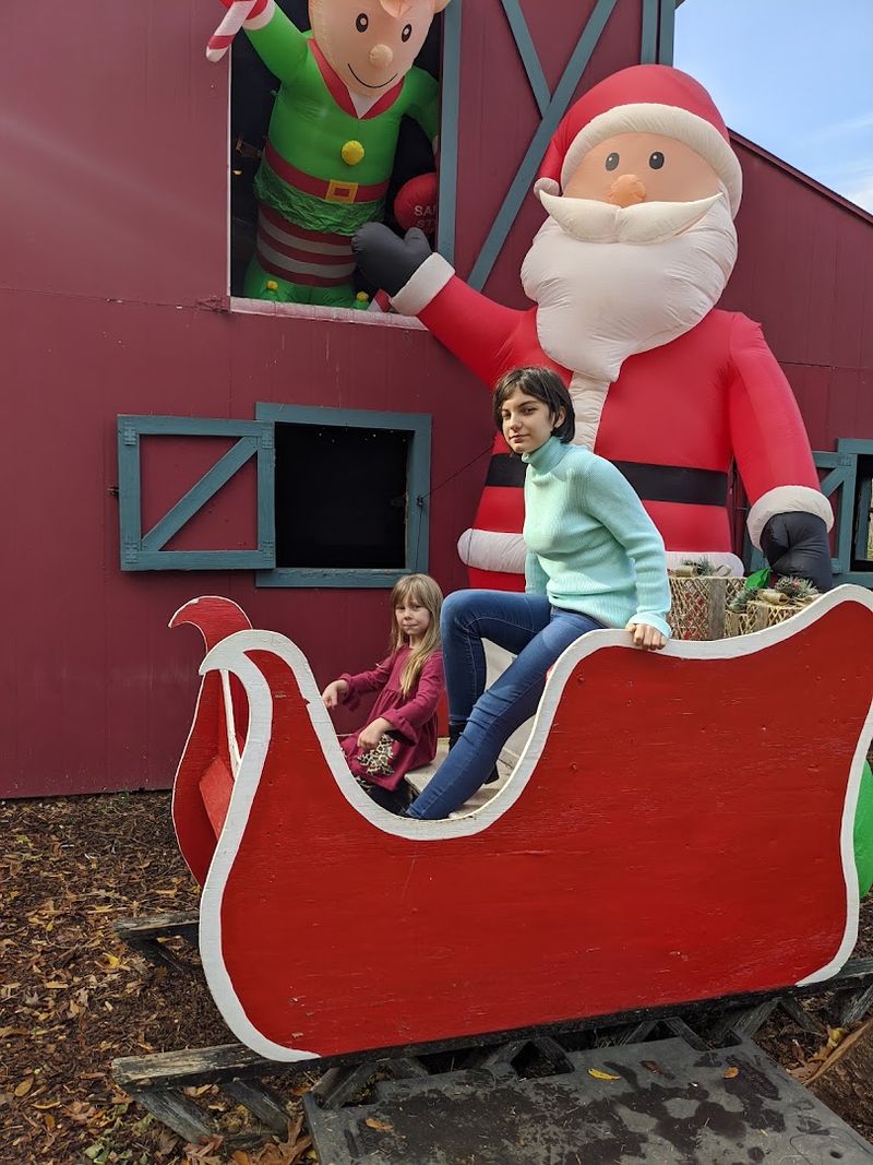 Seasonal Events That Keep Families Coming Back All Year
