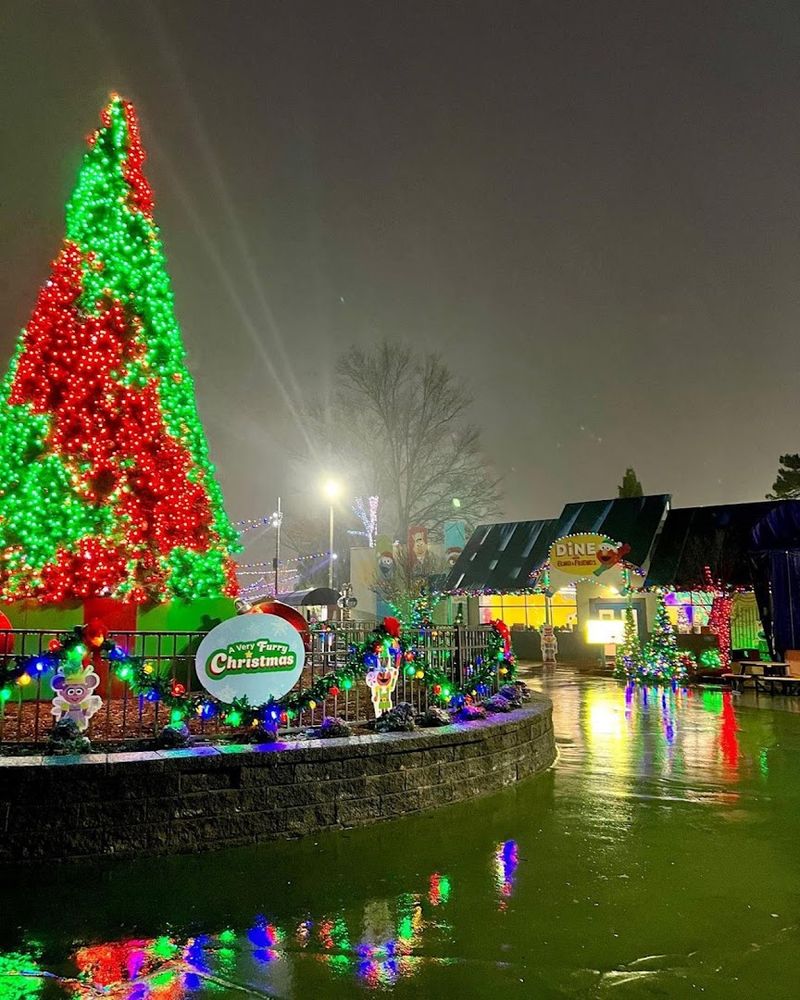 Seasonal Events Throughout the Year
