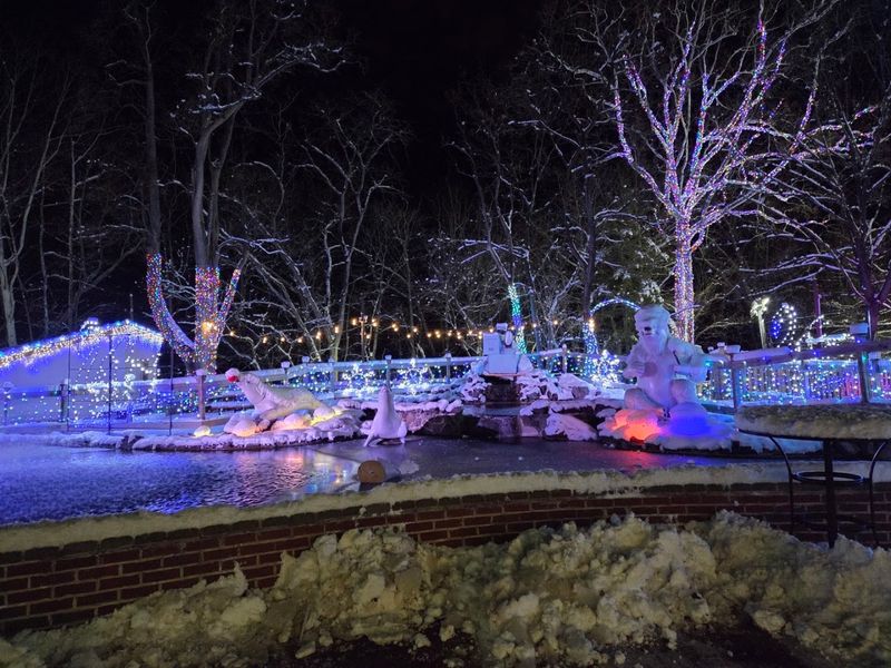 Seasonal Experiences: Christmas Nights at the Zoo