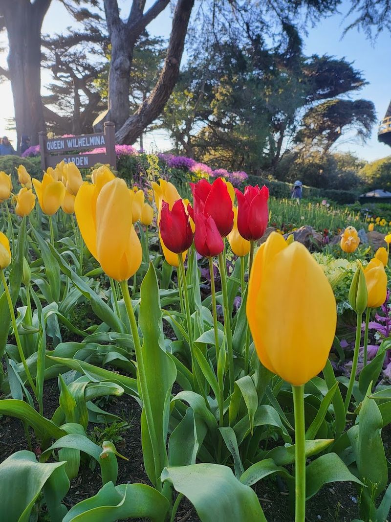 Seasonal Planting Cycles and How to Plan Your Visit