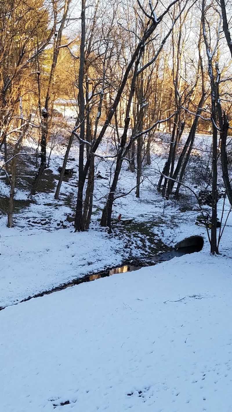 Seasonal Visits Offer Something New Each Time