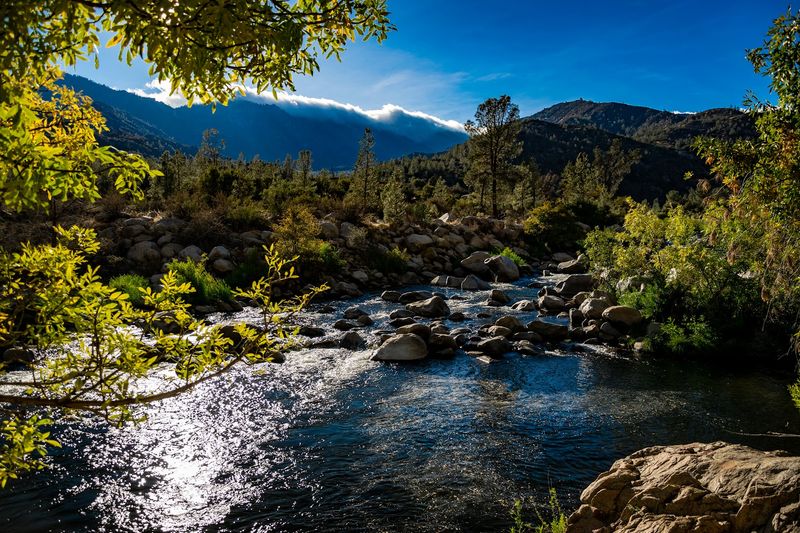 Sequoia National Forest – California