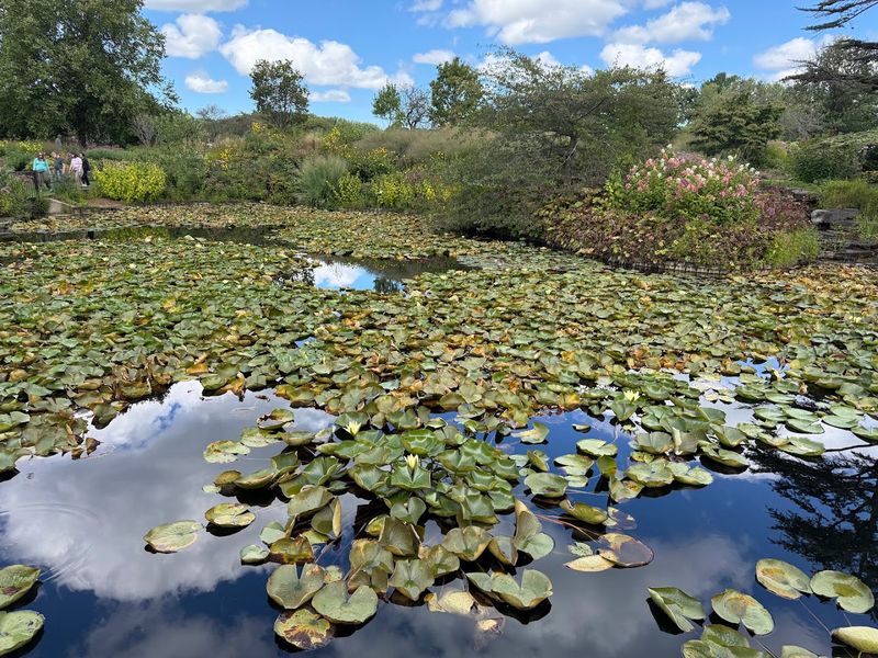 Serene Lakes and Water Features Scattered Throughout the Grounds