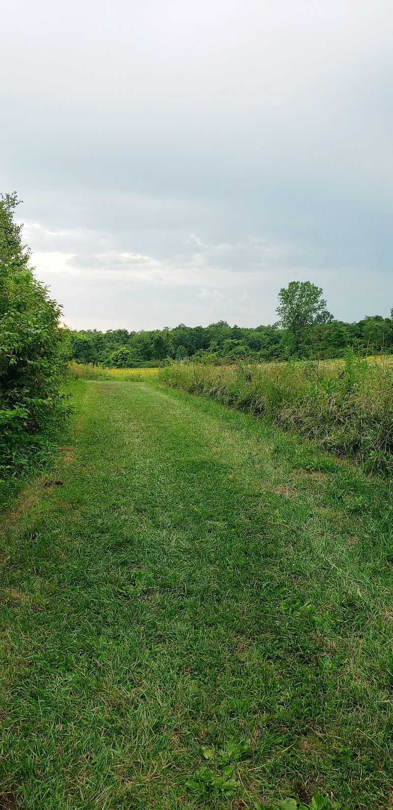 Seven Miles of Multi-Use Trails