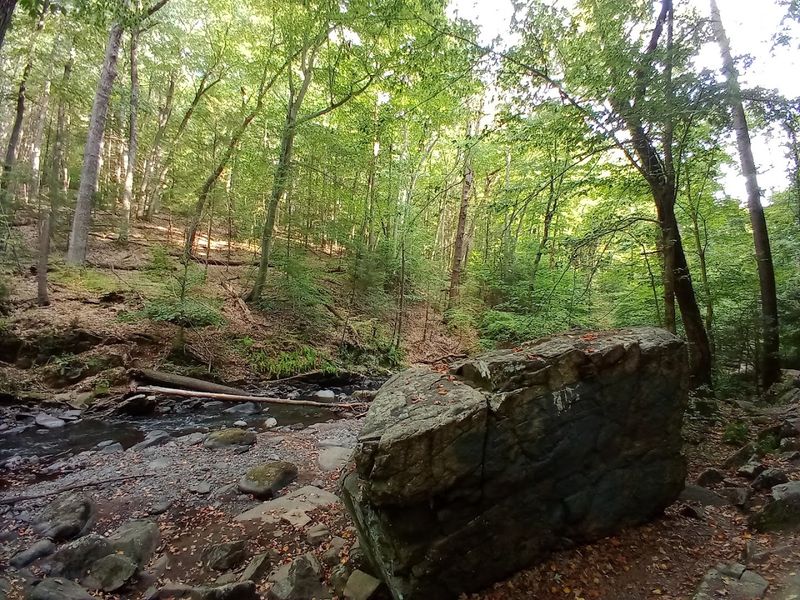 Shaded Trails That Stay Cool Even in Summer Shaded Trails That Stay Cool Even in Summer