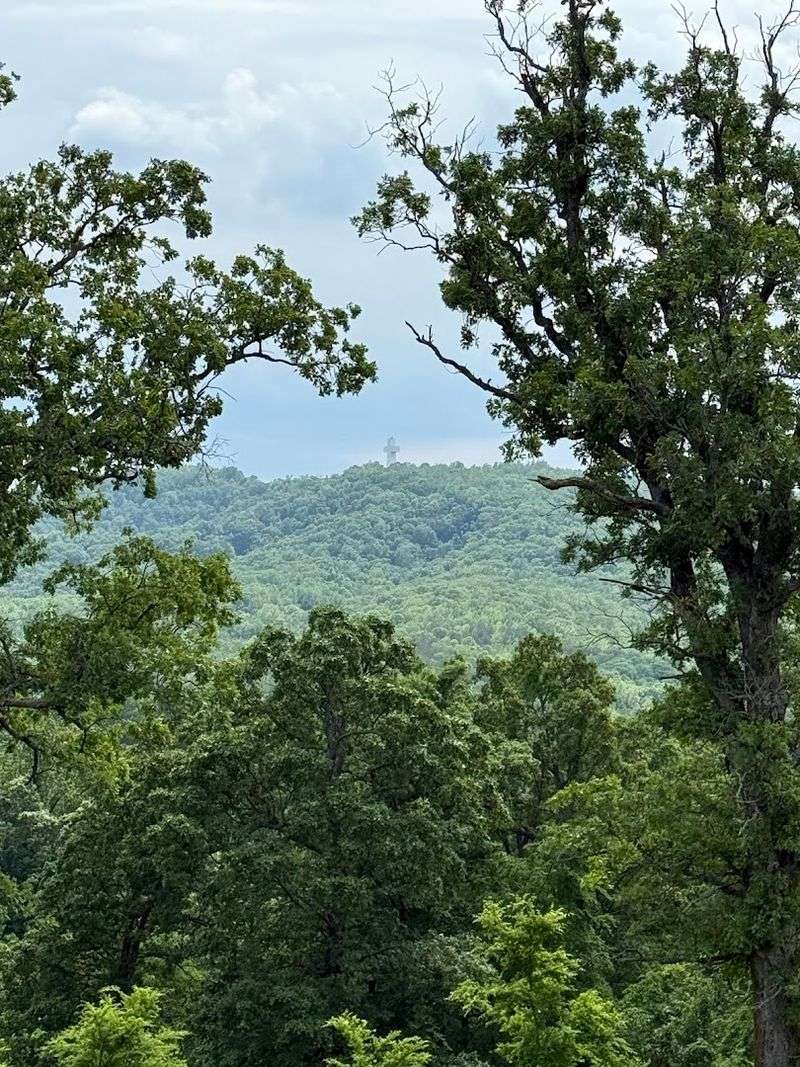 Shawnee National Forest: The Wild Backdrop of It All Shawnee National Forest: The Wild Backdrop of It All