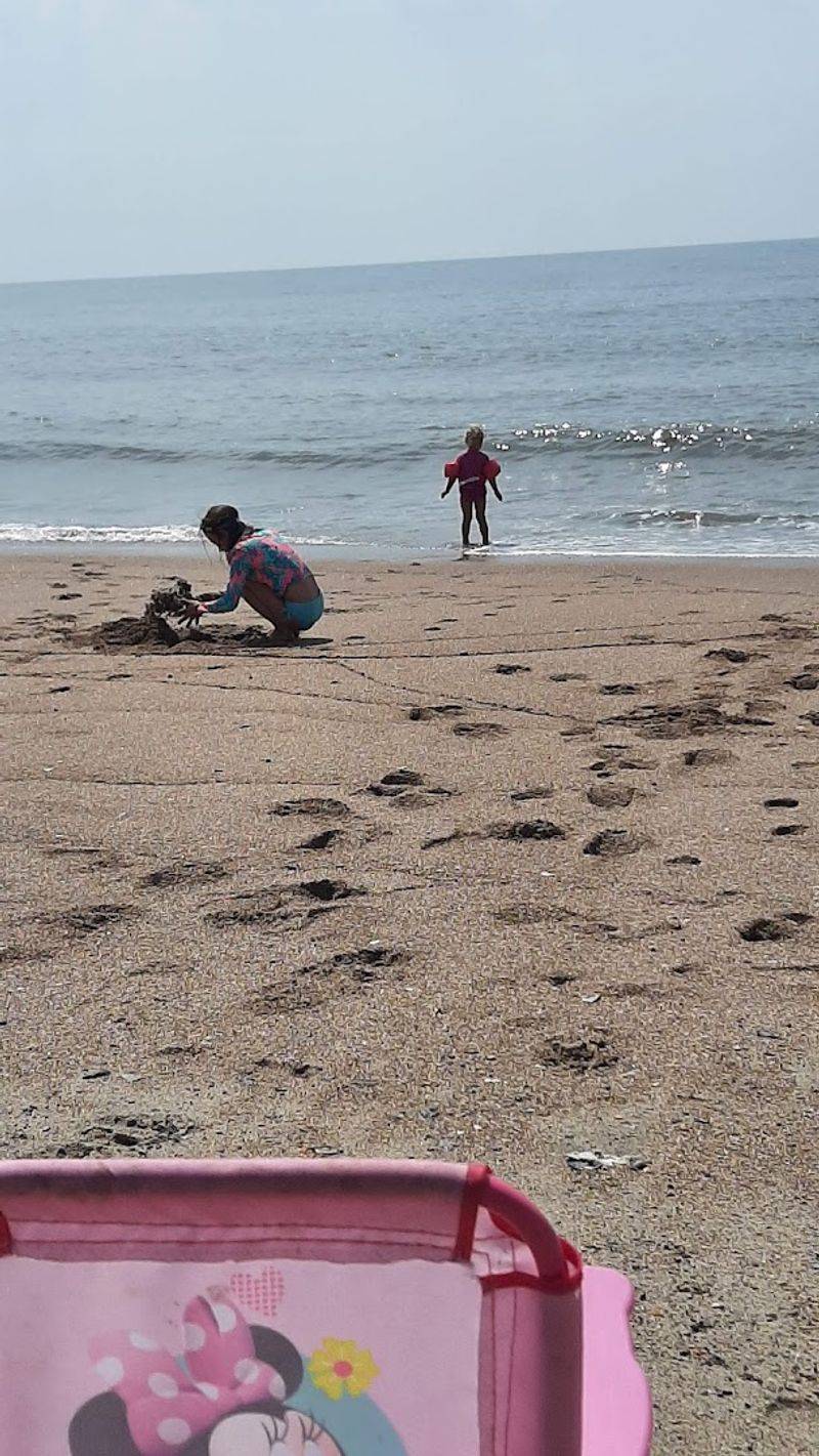 Shell Collecting Like a True Beachcomber