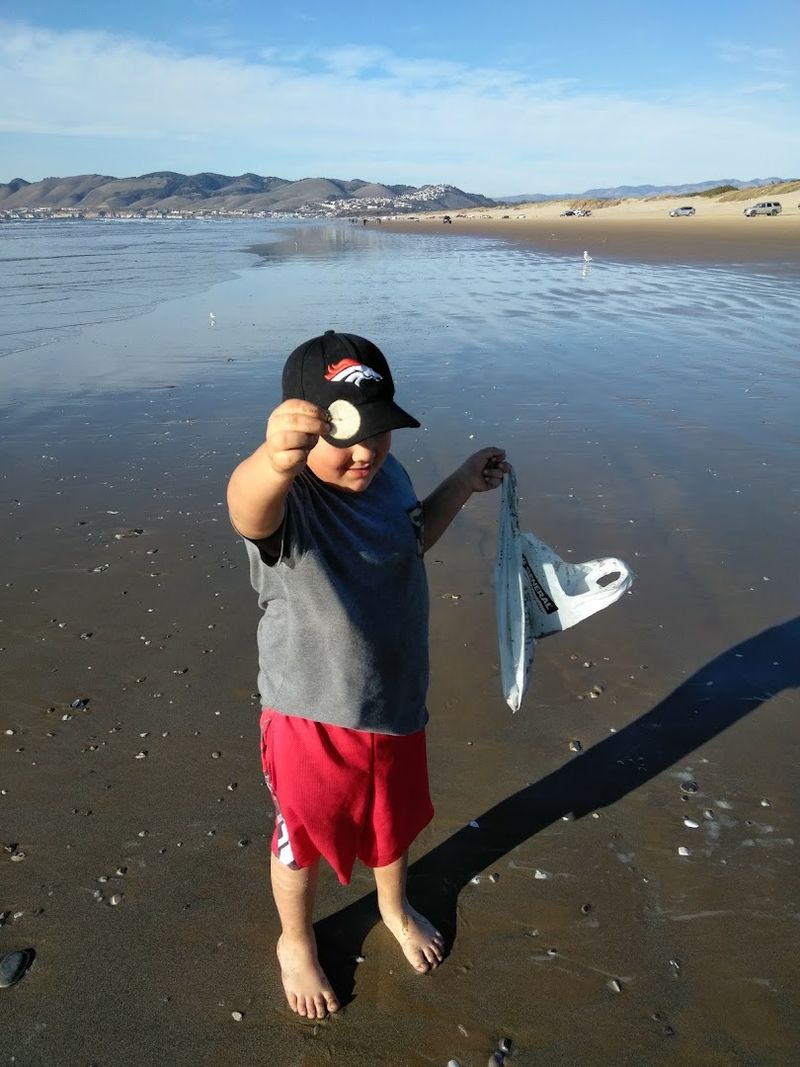 Shell Hunting Along The Shoreline