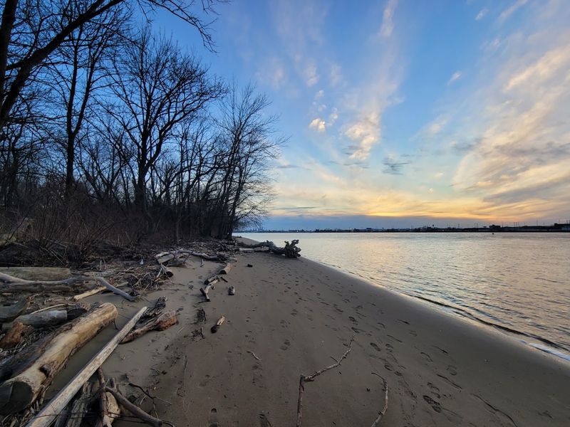 Shoreline Beach Walks at Low Tide