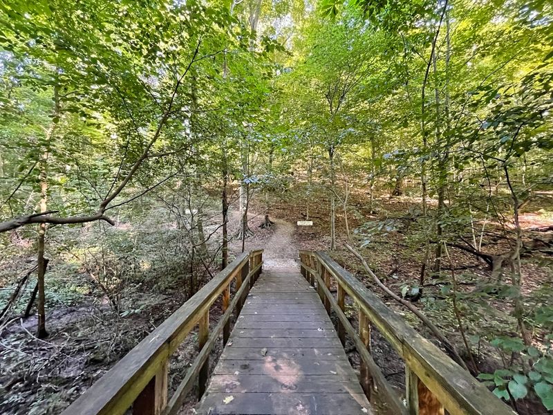 Six Miles of Hiking Trails for Every Skill Level