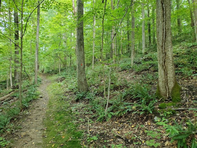 Six Miles of Trails for Every Skill Level