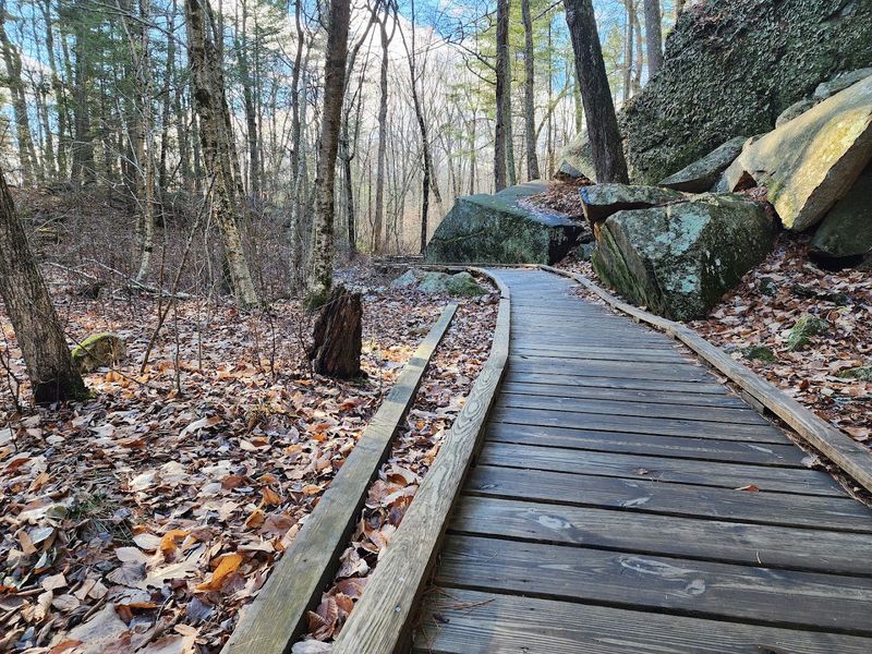 Six Trails to Explore Beyond the Chasm
