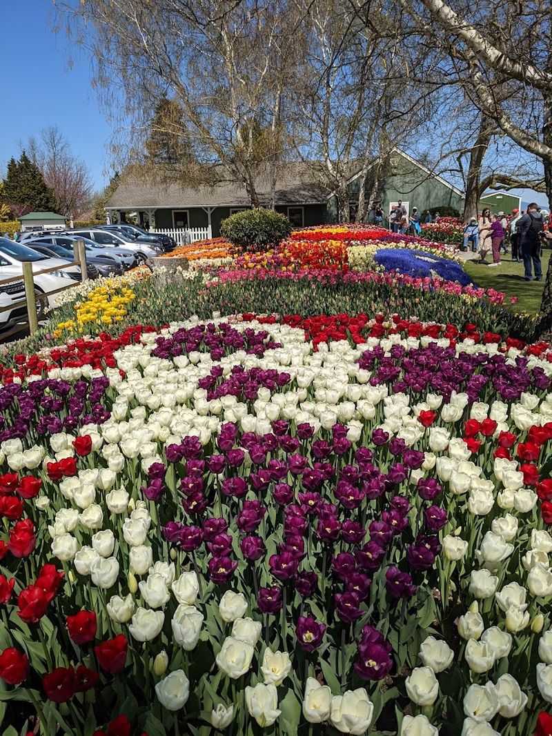 Skagit County Farmers Markets
