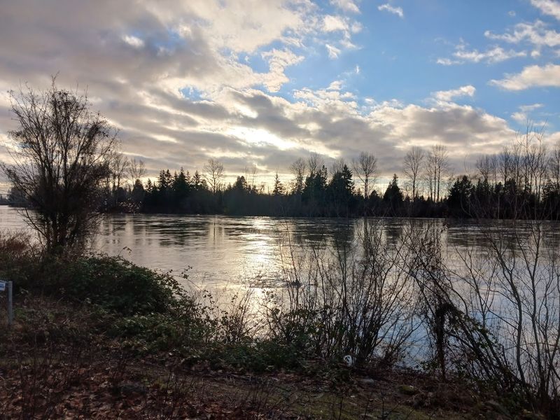 Skagit River Bald Eagle Natural Area
