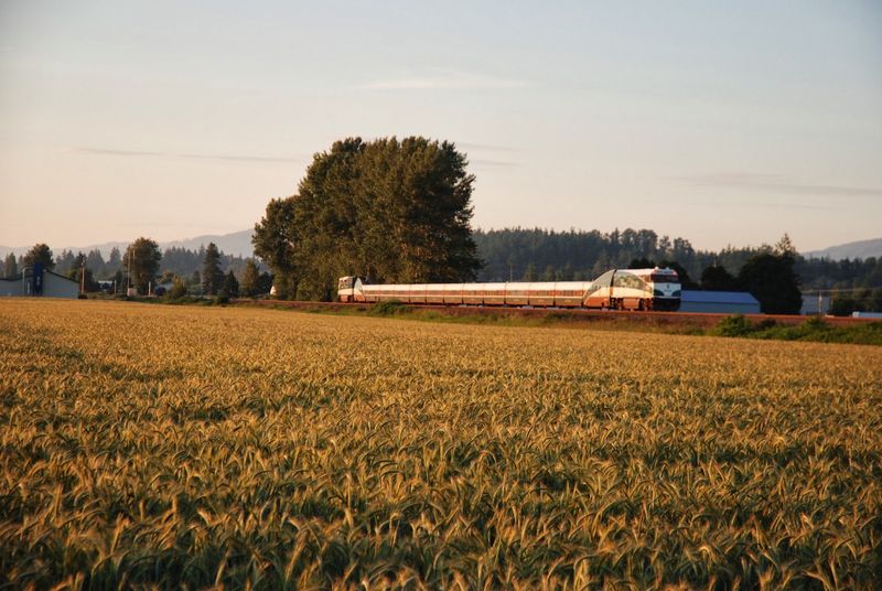 Skagit Valley Food and Farm Scene Skagit Valley Food and Farm Scene